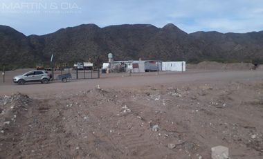 Campo en TINOGASTA - Costa De Reyes