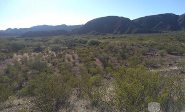 Campo en TINOGASTA - Costa De Reyes