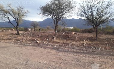 Campo en TINOGASTA - Costa De Reyes