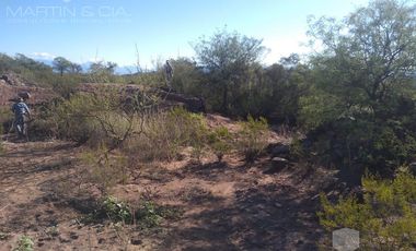 Campo en TINOGASTA - Costa De Reyes