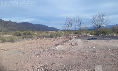 Campo en TINOGASTA - Costa De Reyes