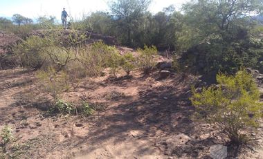 Campo en TINOGASTA - Costa De Reyes
