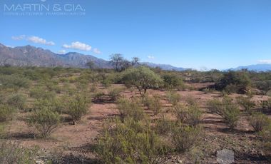 Campo en TINOGASTA - Costa De Reyes