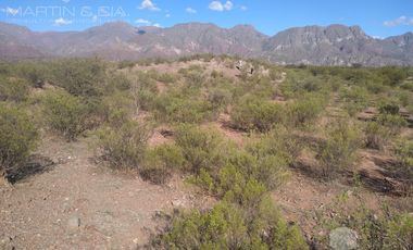 Campo en TINOGASTA - Costa De Reyes