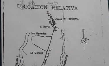 Campo en TINOGASTA - Costa De Reyes