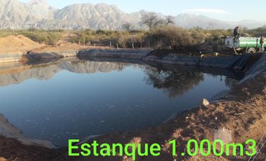 Campo en TINOGASTA - Costa De Reyes