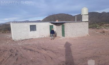 Campo en TINOGASTA - Costa De Reyes