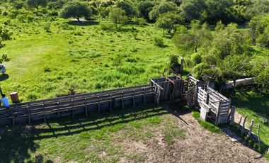 Campo Ganadero en Pueblo Libertador