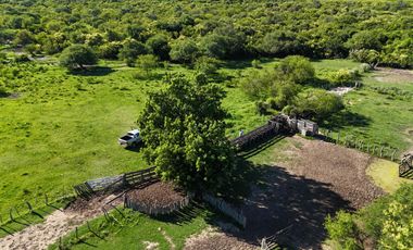Campo Ganadero en Pueblo Libertador