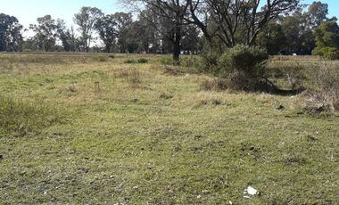 19,71 has en Venta - Apto desarrollo de Barrio Privado - Villa Rosa - Pilar