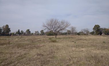 19,71 has en Venta - Apto desarrollo de Barrio Privado - Villa Rosa - Pilar