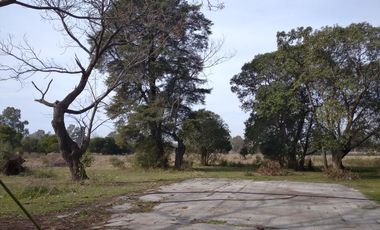 19,71 has en Venta - Apto desarrollo de Barrio Privado - Villa Rosa - Pilar
