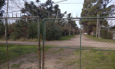 19,71 has en Venta - Apto desarrollo de Barrio Privado - Villa Rosa - Pilar