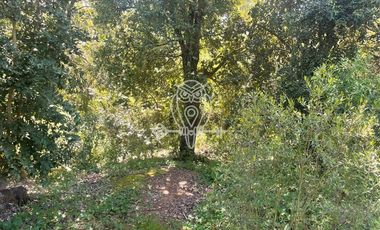 Parcela en Venta en Los cuarteles