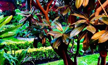 HERMOSA RESIDENCIA AL SUR DE LA CDMX EN VENTA