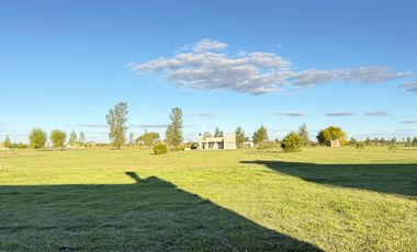 Casa a estrenar, en el corazón de La Federala, donde el verde y la tranquilidad son protagonistas