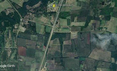 Campo en Gualeguaychu