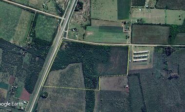 Campo en Gualeguaychu