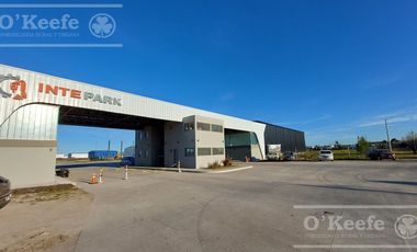 Galpón en alquiler a estrenar - Parque Tecnológico e Industrial Berazategui - Intepark - Zona sur