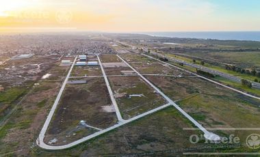 Galpón en alquiler a estrenar - Parque Tecnológico e Industrial Berazategui - Intepark - Zona sur