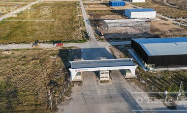 Galpón en alquiler a estrenar - Parque Tecnológico e Industrial Berazategui - Intepark - Zona sur