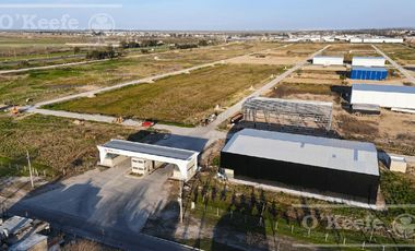 Galpón en alquiler a estrenar - Parque Tecnológico e Industrial Berazategui - Intepark - Zona sur