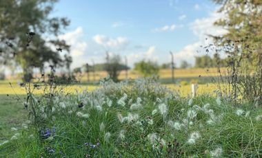 Chacra de 6 hectáreas con casa de campo, parque arbolado y piscina – entorno único en los alrededores de Salvador María, Lobos