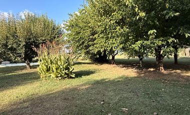 Chacra de 6 hectáreas con casa de campo, parque arbolado y piscina – entorno único en los alrededores de Salvador María, Lobos