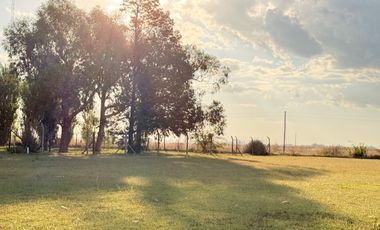 Chacra de 6 hectáreas con casa de campo, parque arbolado y piscina – entorno único en los alrededores de Salvador María, Lobos