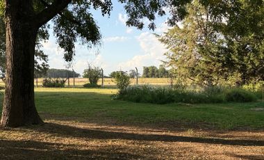Chacra de 6 hectáreas con casa de campo, parque arbolado y piscina – entorno único en los alrededores de Salvador María, Lobos