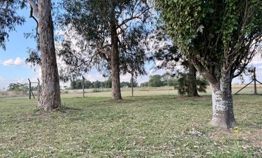 Chacra de 6 hectáreas con casa de campo, parque arbolado y piscina – entorno único en los alrededores de Salvador María, Lobos