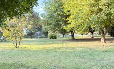 Chacra de 6 hectáreas con casa de campo, parque arbolado y piscina – entorno único en los alrededores de Salvador María, Lobos