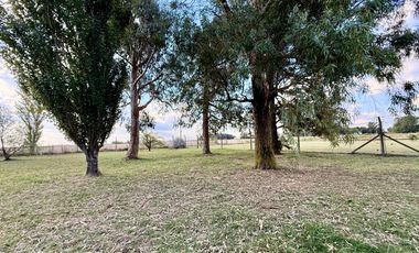 Chacra de 6 hectáreas con casa de campo, parque arbolado y piscina – entorno único en los alrededores de Salvador María, Lobos