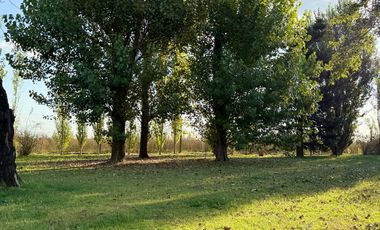 Chacra de 6 hectáreas con casa de campo, parque arbolado y piscina – entorno único en los alrededores de Salvador María, Lobos