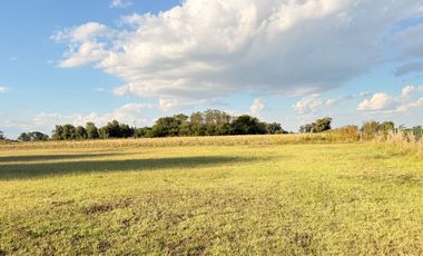 Chacra de 6 hectáreas con casa de campo, parque arbolado y piscina – entorno único en los alrededores de Salvador María, Lobos