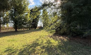 Chacra de 6 hectáreas con casa de campo, parque arbolado y piscina – entorno único en los alrededores de Salvador María, Lobos