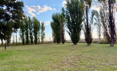 Chacra de 6 hectáreas con casa de campo, parque arbolado y piscina – entorno único en los alrededores de Salvador María, Lobos