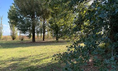 Chacra de 6 hectáreas con casa de campo, parque arbolado y piscina – entorno único en los alrededores de Salvador María, Lobos