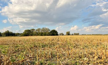 Chacra de 6 hectáreas con casa de campo, parque arbolado y piscina – entorno único en los alrededores de Salvador María, Lobos