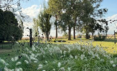 Chacra de 6 hectáreas con casa de campo, parque arbolado y piscina – entorno único en los alrededores de Salvador María, Lobos