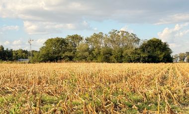 Chacra de 6 hectáreas con casa de campo, parque arbolado y piscina – entorno único en los alrededores de Salvador María, Lobos