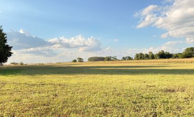 Chacra de 6 hectáreas con casa de campo, parque arbolado y piscina – entorno único en los alrededores de Salvador María, Lobos