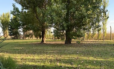 Chacra de 6 hectáreas con casa de campo, parque arbolado y piscina – entorno único en los alrededores de Salvador María, Lobos