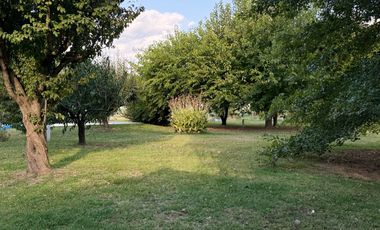 Chacra de 6 hectáreas con casa de campo, parque arbolado y piscina – entorno único en los alrededores de Salvador María, Lobos