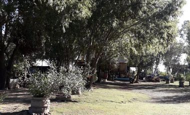 Quinta - Villa Paranacito