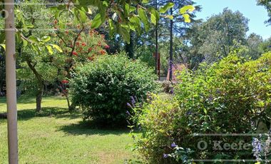 Quinta única en venta en Abasto de 9000 mts con arboleda añeja y amplio terreno. Acepta Financiación