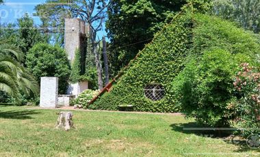 Quinta única en venta en Abasto de 9000 mts con arboleda añeja y amplio terreno. Acepta Financiación