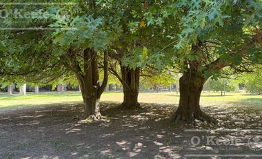 Quinta única en venta en Abasto de 9000 mts con arboleda añeja y amplio terreno. Acepta Financiación