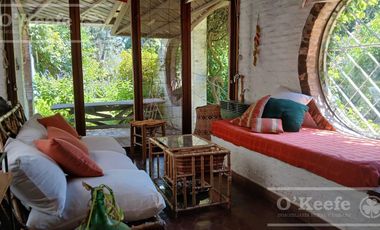 Quinta única en venta en Abasto de 9000 mts con arboleda añeja y amplio terreno. Acepta Financiación