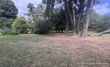 Quinta única en venta en Abasto de 9000 mts con arboleda añeja y amplio terreno. Acepta Financiación